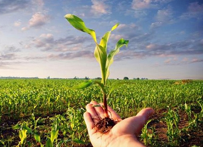 agricoltura-bio sostenibile